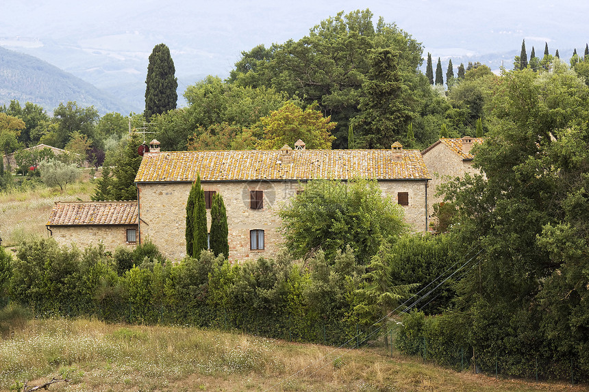 典型的Tuscan 房屋场地房子季节性酒厂藤蔓农村风景葡萄园绿色乡村图片