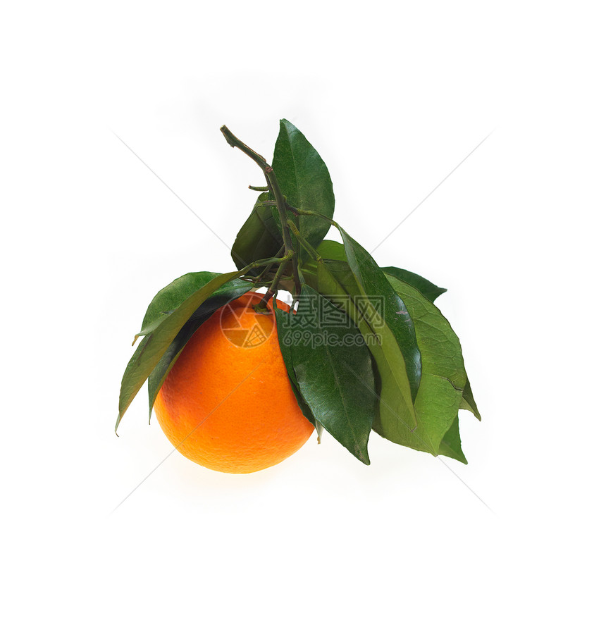 鲜橙色隔离区水果营养工作室宏观食物橙子果汁叶子图片