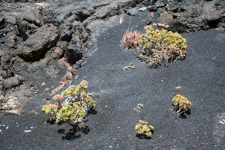 兰萨罗特岛 地貌假期旅游指南全景潜艇火山海滩山脉村庄背景图片