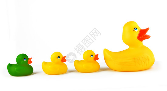 小鸭子玩具丑陋的鸭子绿色领导者玩具兄弟姐妹黄色个性小鸭子橡皮母亲背景