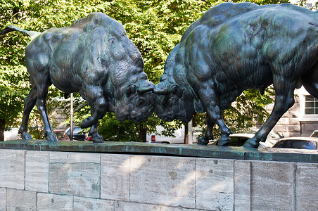 两头水牛雕塑城市动物纪念碑街道斗争牛角荒野艺术野牛背景