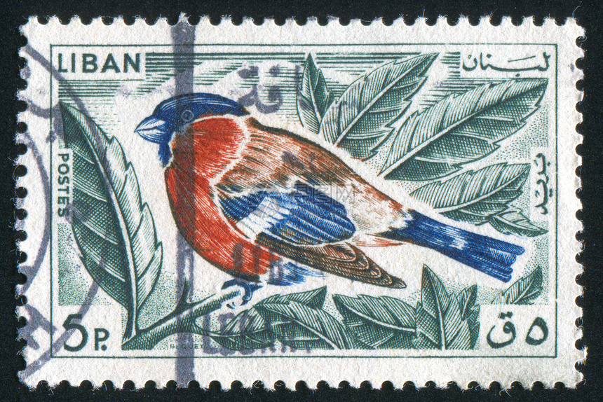 黎巴嫩叶子古董枝条邮件动物群明信片羽毛翅膀手指邮戳图片