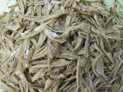 干虾小鱼食物市场熟鱼动物销售烛鱼规模物体干货海鲜背景图片