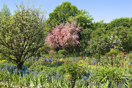 克劳德莫内花园农村花朵高原花园紫色植物群蓝色绿色乡村农业背景图片