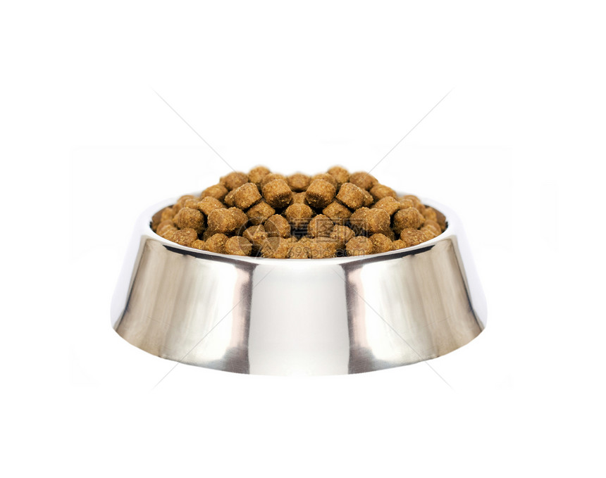 孤立的狗食营养小狗盘子小吃金属食物火车宏观饼干犬类图片