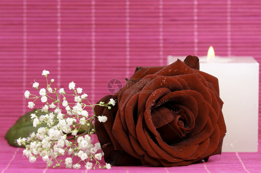红玫瑰粉色浪漫恋情玫瑰红色水滴蜡烛茶色图片