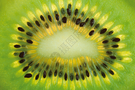 Kiwi 水果背景绿色宏观白色奇异果食物背景图片