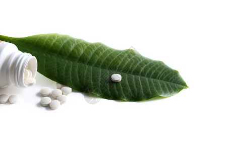 医药行业植物群白色植物绿色商业治疗医疗团体叶子药品背景图片