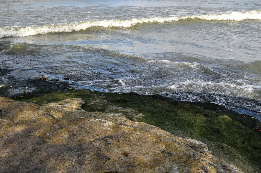 藻叶和水湖岸叶子岩石苔藓海浪银行波浪树叶绿色图片