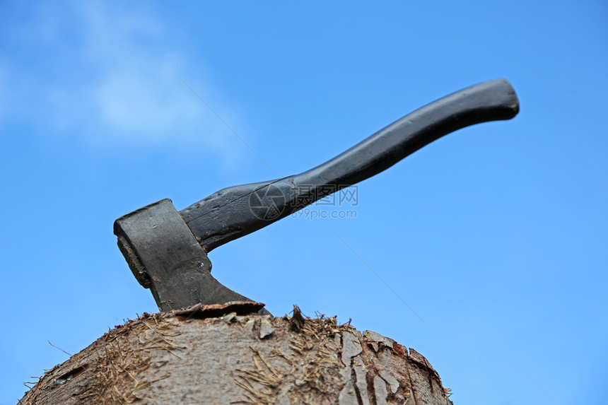 切木木工具木材运动日志木工人钢坯森林收成木头树干图片