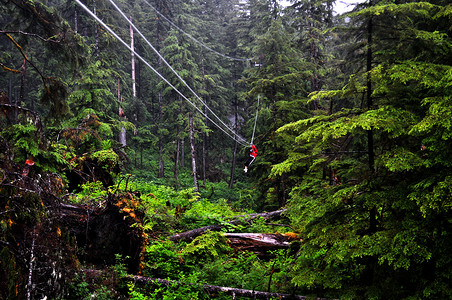 悬索运动树木绿色荒野森林极限高清图片