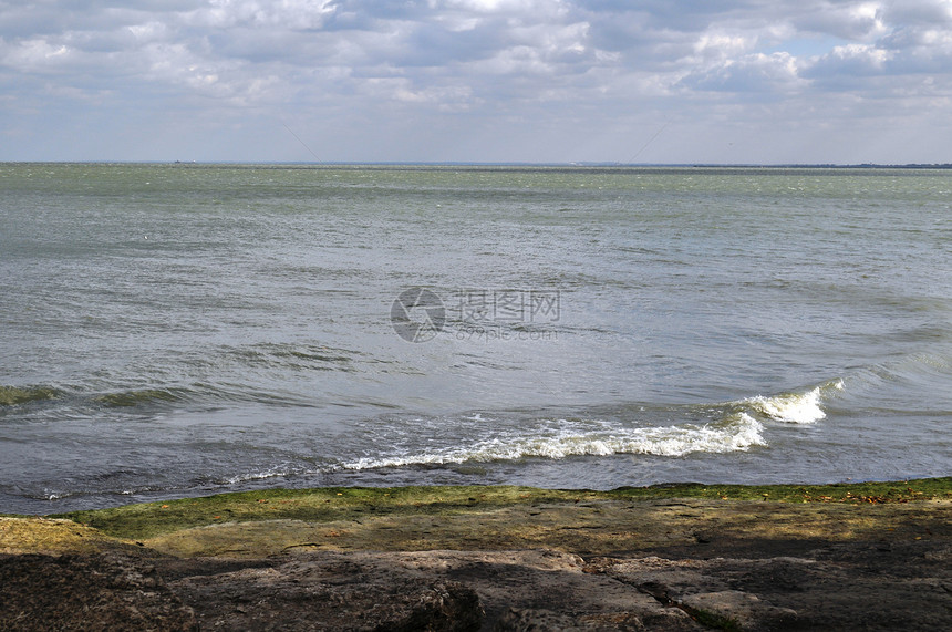 岩石和水背景湖岸树叶叶子银行波浪海浪绿色苔藓图片