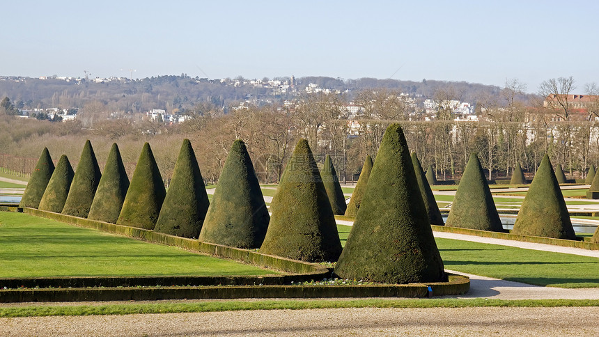 灌木缝入一个法国花园的圆锥形图片