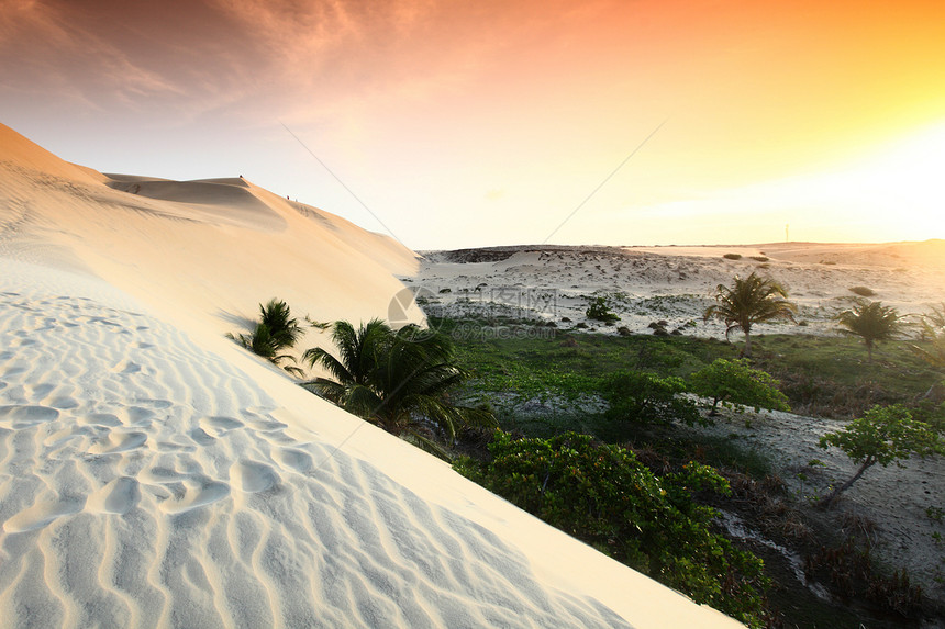沙漠地区晴天沙漠橙子旅游地形日落沙丘全景游客孤独图片
