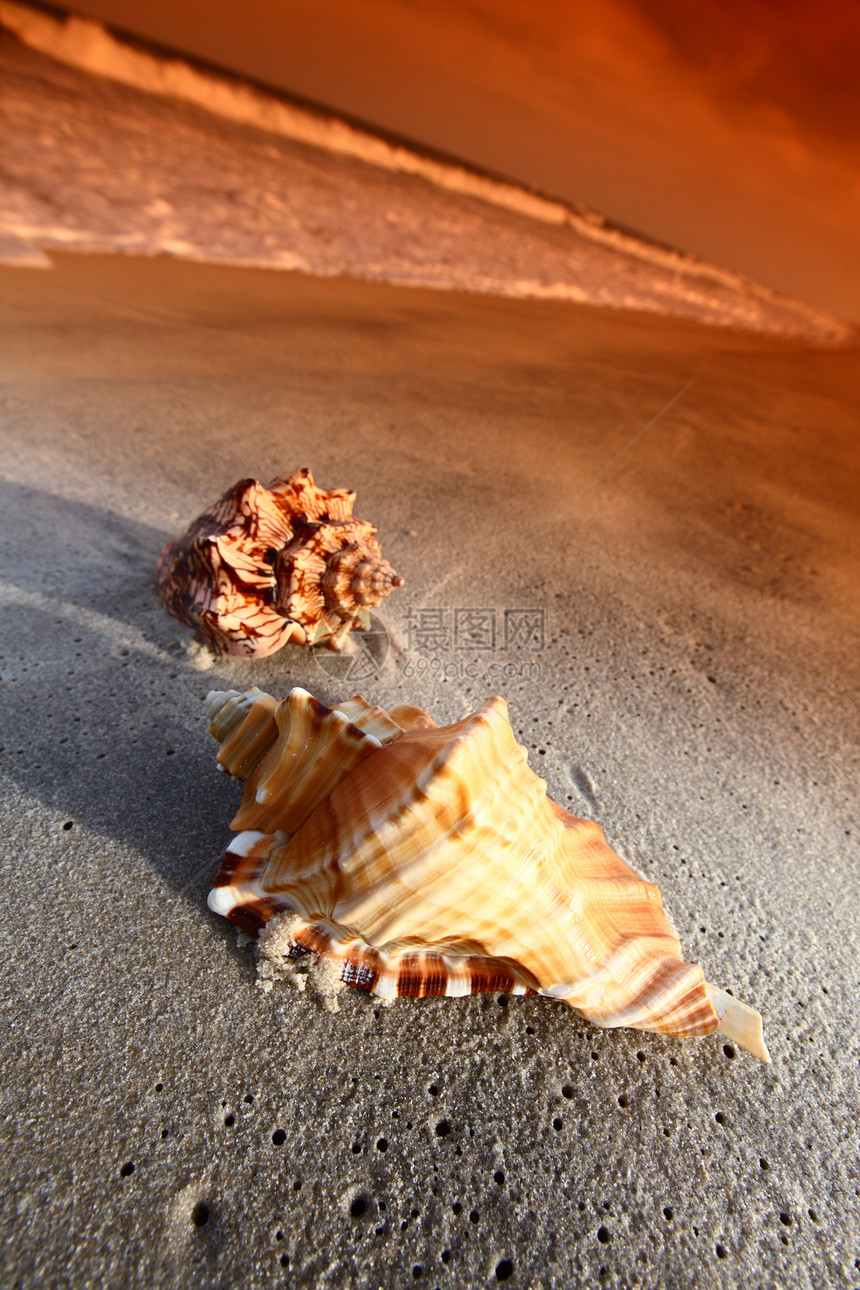 贝壳海岸日落支撑海浪天堂旅行假期天空海岸线海滩图片