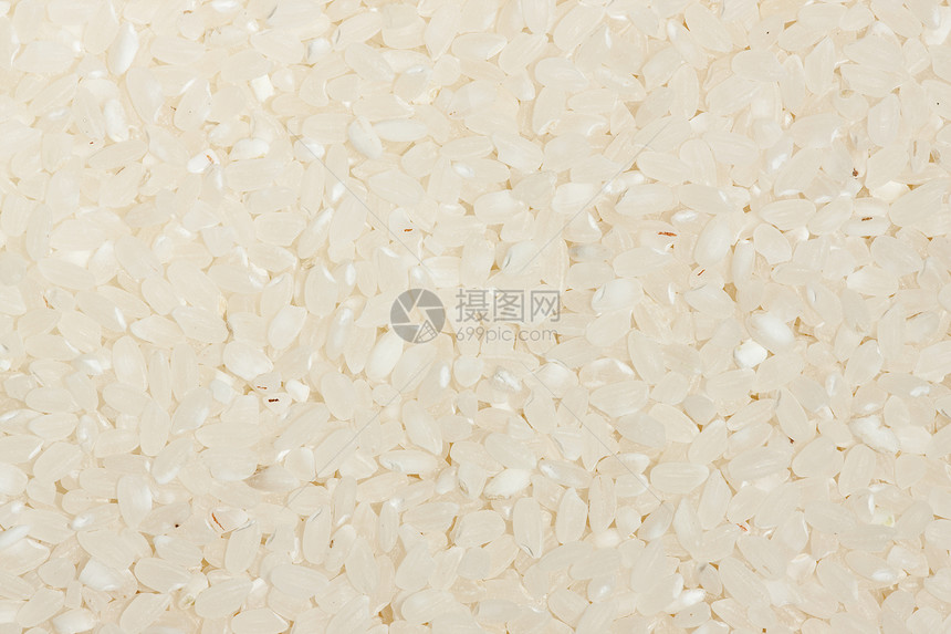 白稻背景内核谷类长粒香米素食宏观白色食物植物白米图片