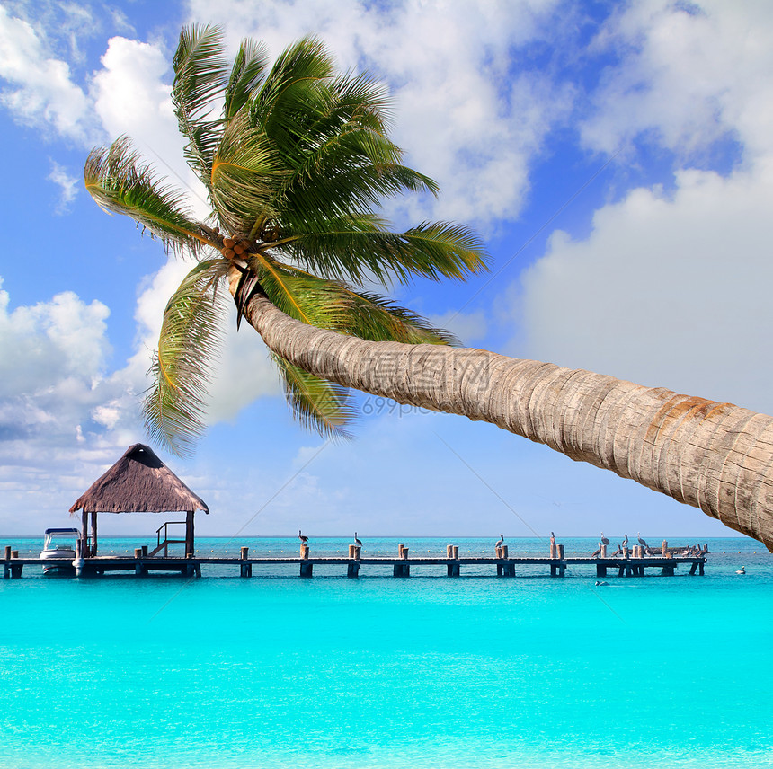 热带完美海滩棕榈树天堂海洋国家地标海景异国假期情调海岸蓝色图片