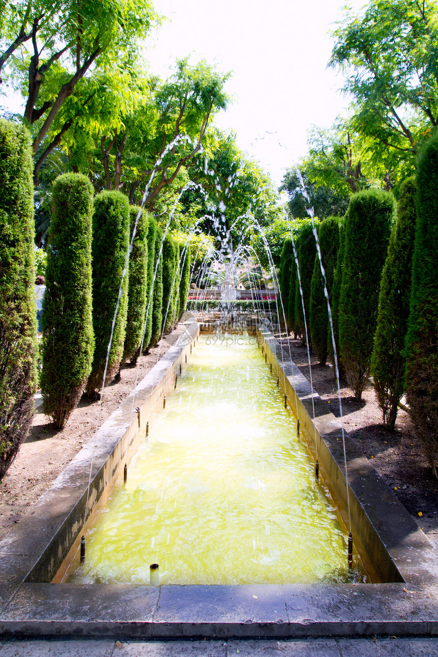 马洛卡帕尔马市Palma的花园图片