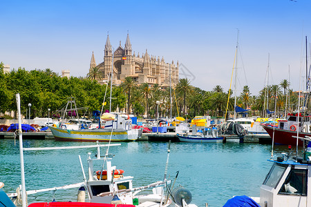 马略卡岛帕尔马帕尔马港Palma码头大教堂观光树木阳光晴天地标港口城市假期旅游蓝色纪念碑背景