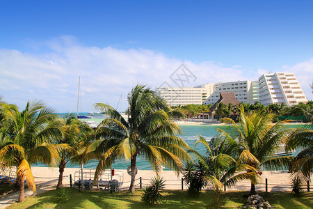 里维埃拉坎昆墨西哥湖和加勒比海太阳旅行天堂海滩支撑蓝色阳光海岸树木热带背景