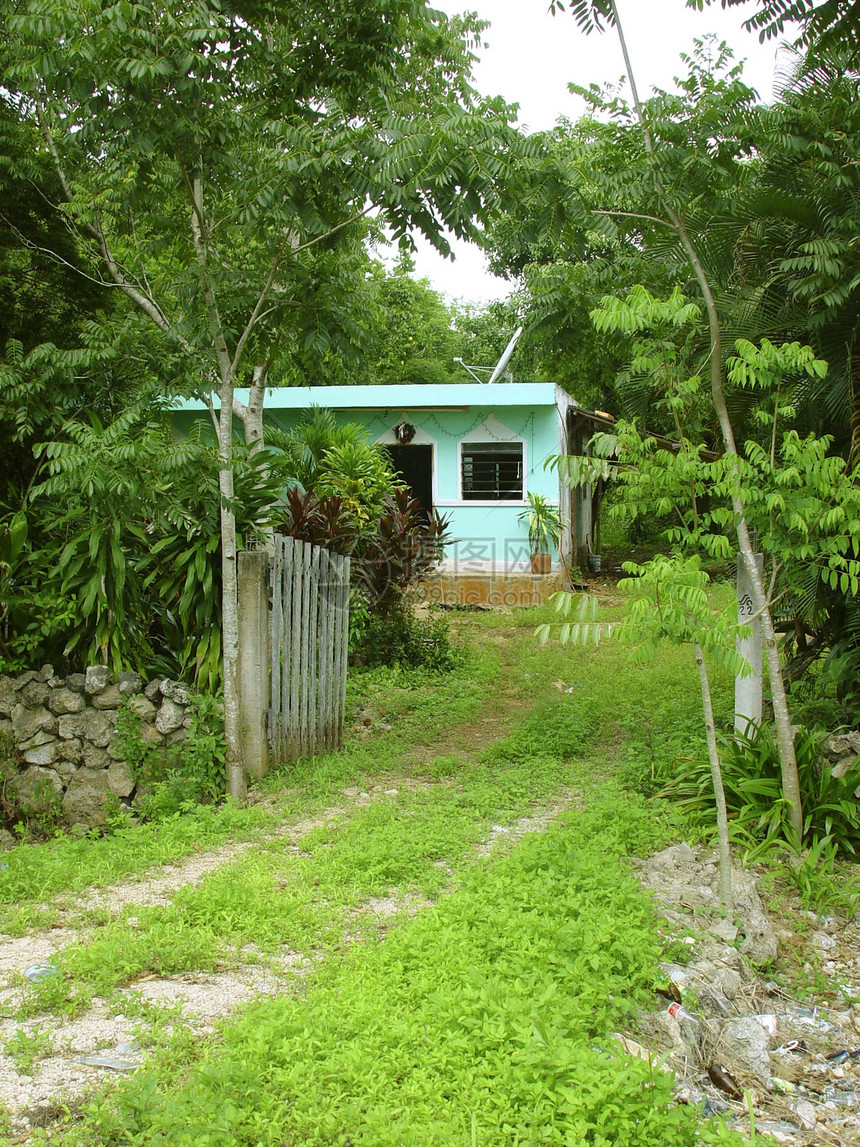 墨西哥的绿色丛林小房子图片