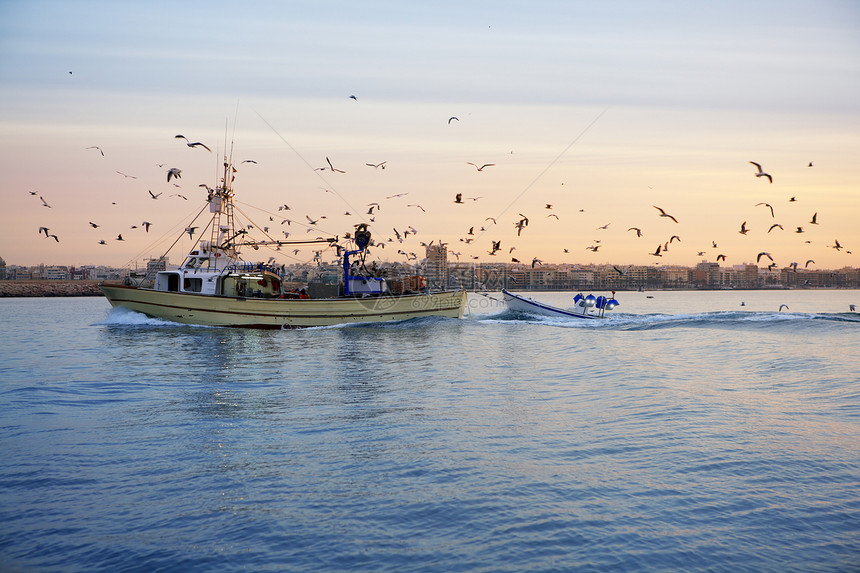 日落日出时专业渔船海鸥太阳海岸运输港口天空血管橙子鸟类蓝色海浪图片