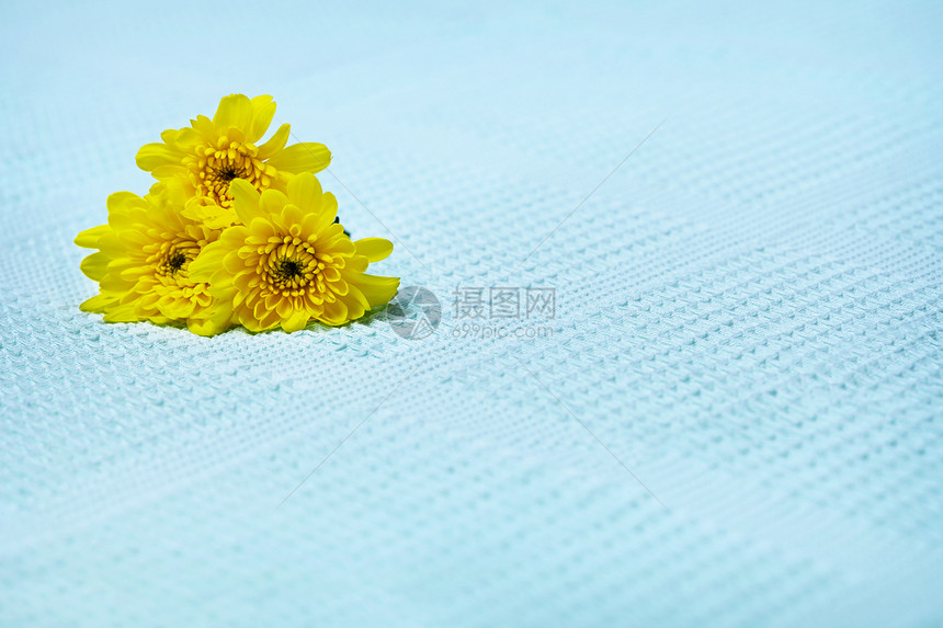 蓝色毛巾上的黄花图片