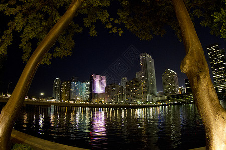 迈阿密之夜浏览点背景图片