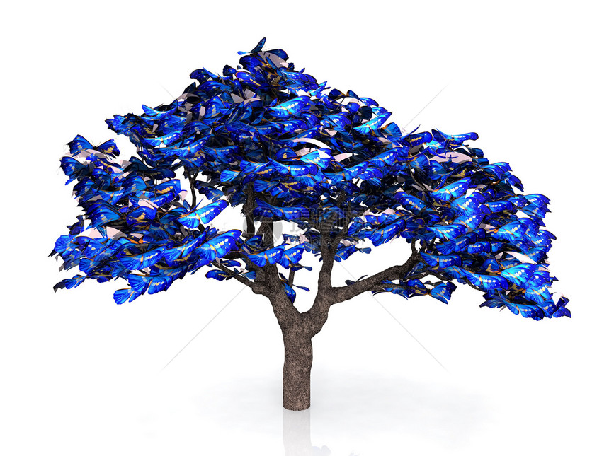 树上有蓝蝴蝶的叶子图片
