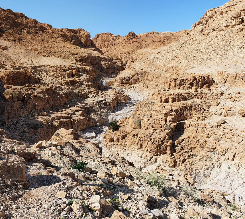 在死海附近被库姆兰小溪切开的沙漠中峡谷图片