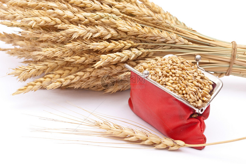 有小麦耳朵的红钱包白色收益农民信用乡村金融稻草黄色红色种子图片