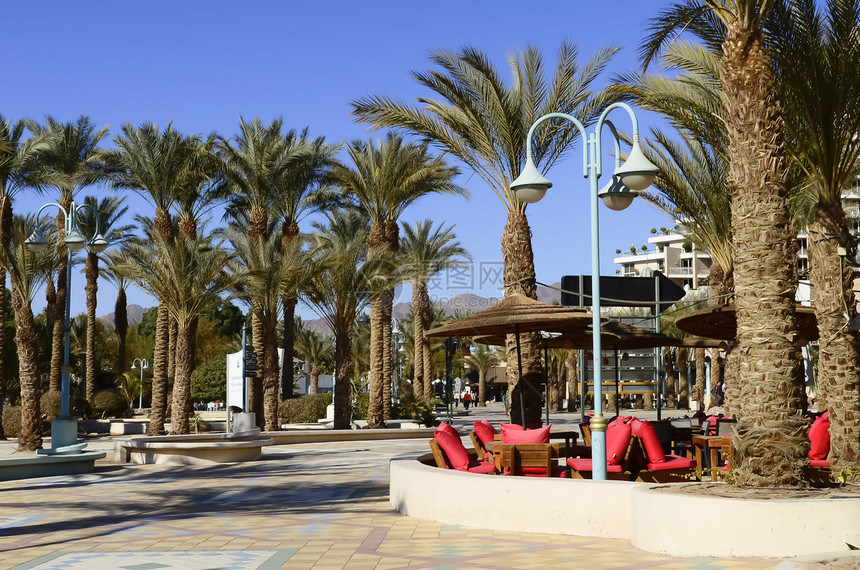 Eilat北部海滩的预演图片