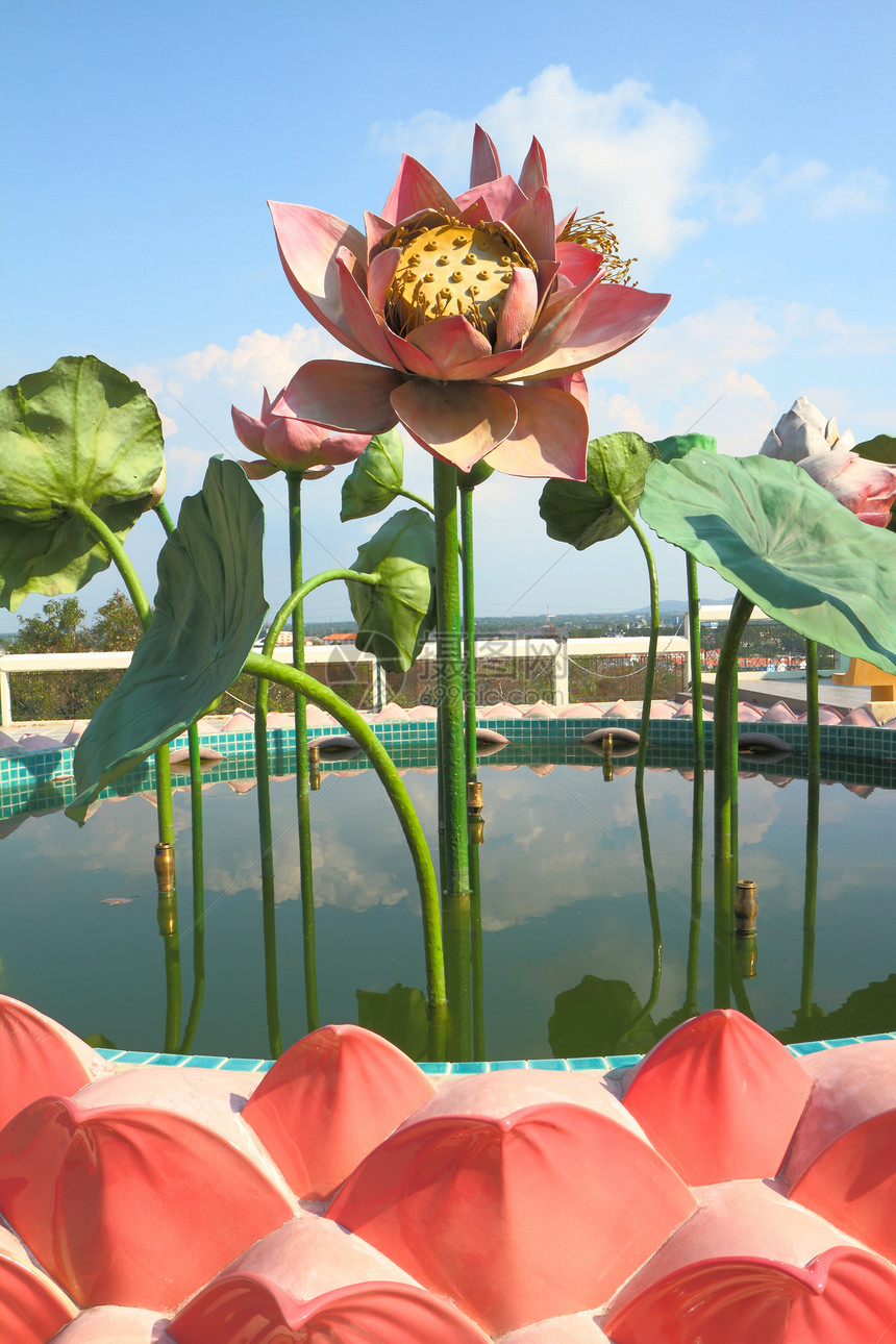 喷泉中的莲花雕塑雕像游客文化旅游反思历史植物学荷花公园反射图片
