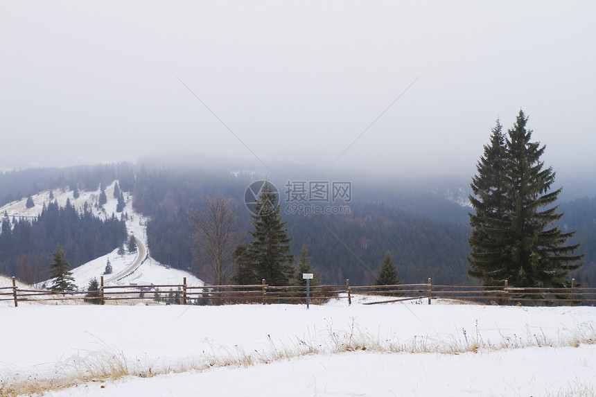 冬季风景和雪雪木头季节高地暴风雪首脑旅行气候植物群太阳天空图片