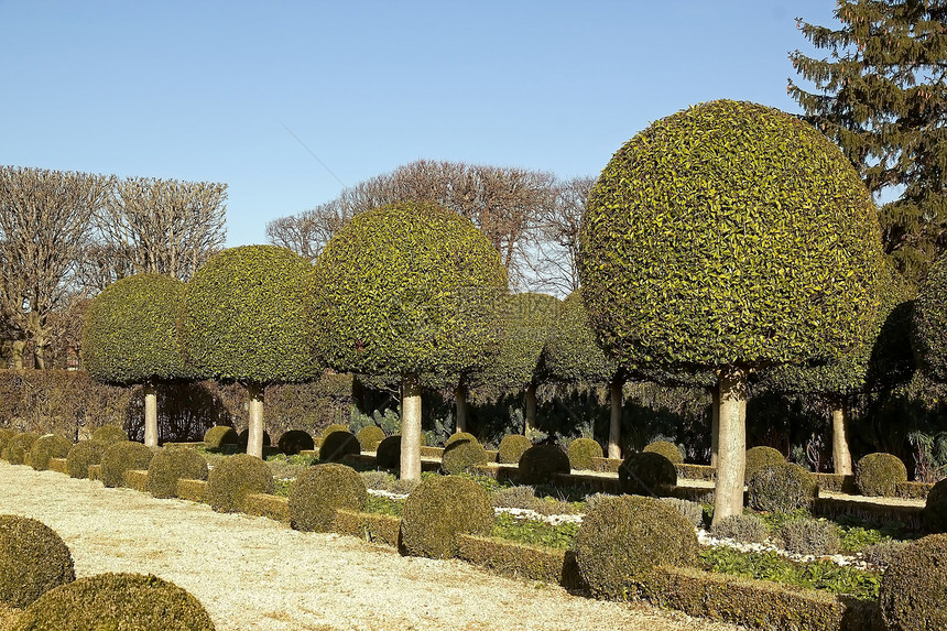 法属花园林木 法国花园尺寸公园城堡遗产植被灌木图片
