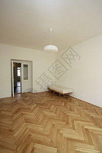 空房间木地板地毯建筑学背景图片