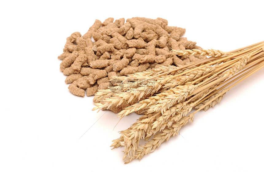白底有耳的小麦和白面耳朵谷物生态学家玉米生态粮食早餐饮食食物图片