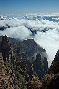 中国湖北申农家山地貌旅游森林树木山脉松树背景图片