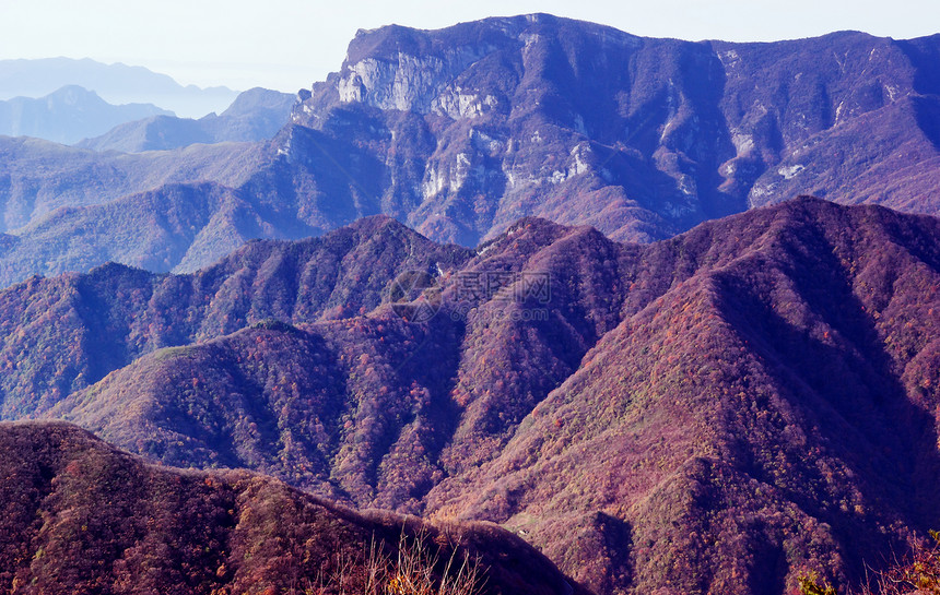 中国湖北申农家山地貌山脉森林旅游松树树木图片