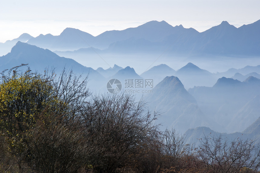 中国湖北申农家山地貌松树山脉森林旅游树木图片