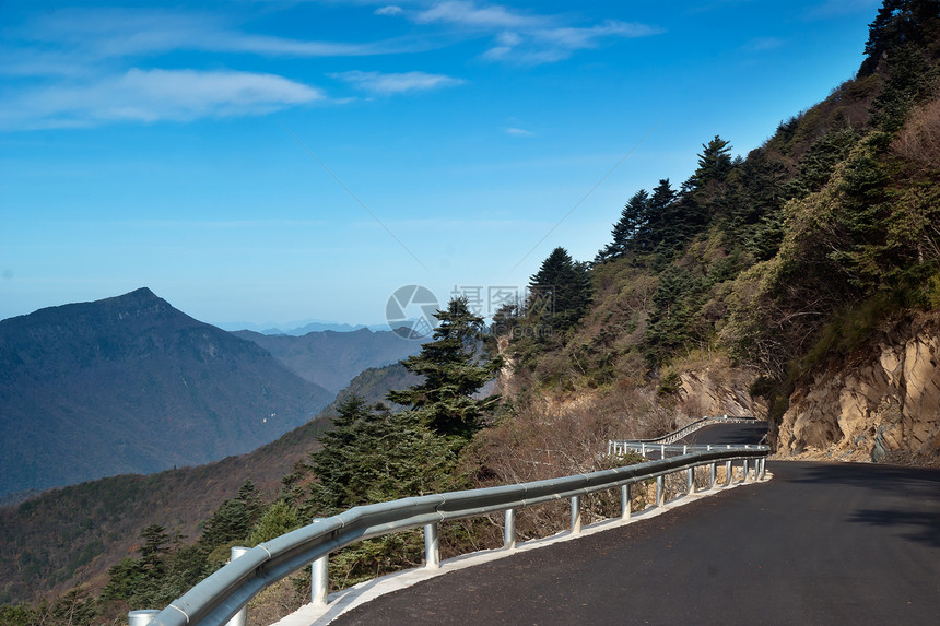 中国湖北申农家山地貌旅游松树树木山脉森林图片