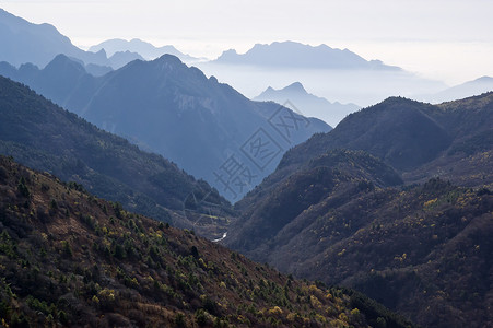 中国湖北申农家山地貌山脉森林旅游松树树木背景图片