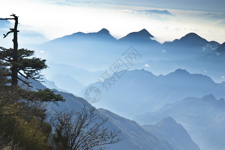 中国湖北申农家山地貌松树山脉森林旅游树木背景图片