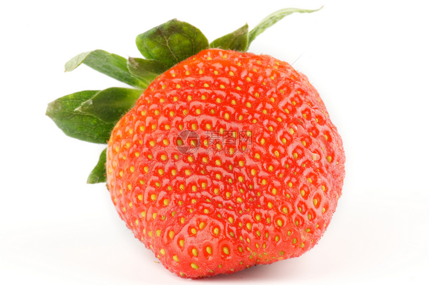 新鲜的里普完美草莓红色植物水果健康饮食叶子横截面宏观食物绿色影棚图片