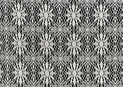 滑雪墙纸刺绣白色材料叶子花边织物工作纺织品蕾丝背景图片