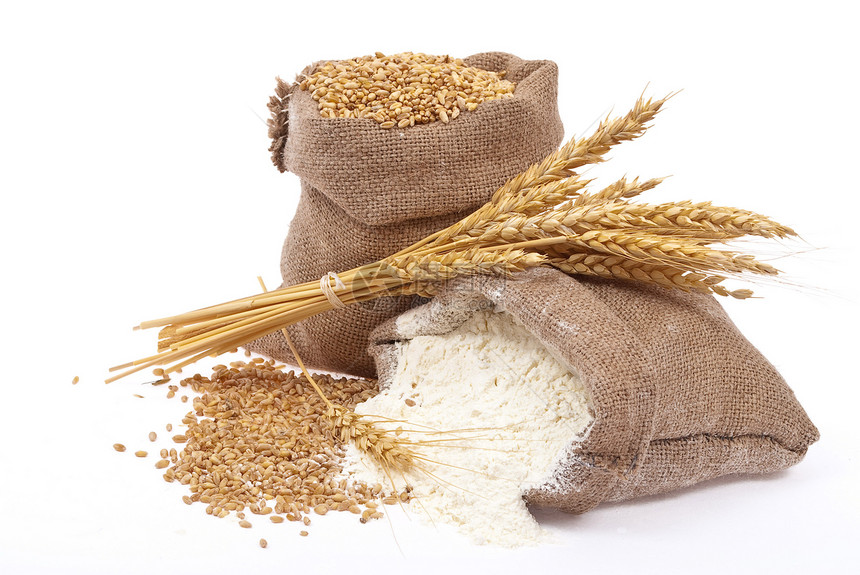 面粉和小麦谷物耳朵季节种子玉米食物麻布粮食农场面包解雇图片