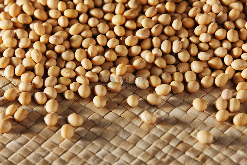 黄豆种子大豆营养宏观纤维豆腐遗传学家豆浆黄色基因图片