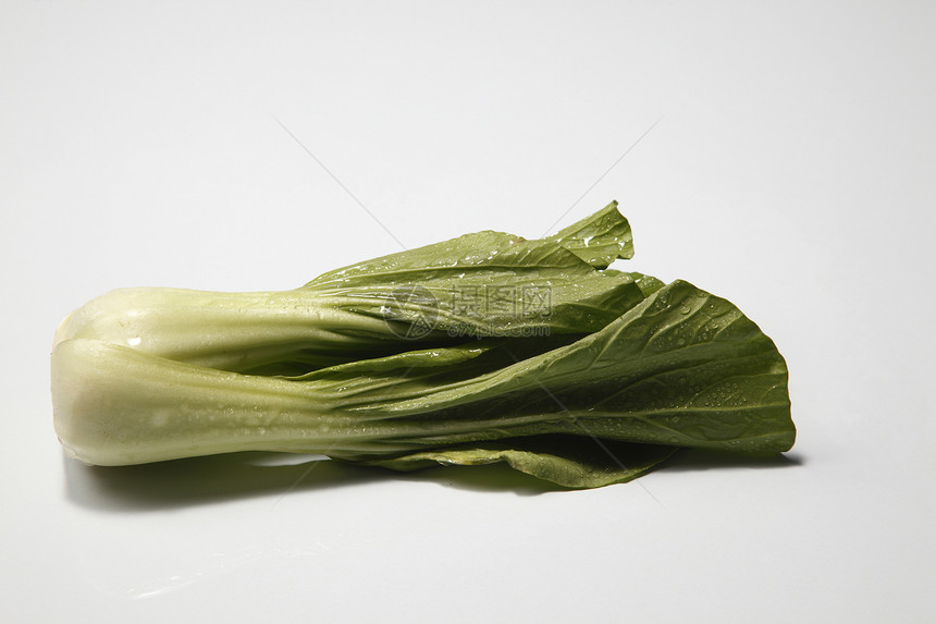 贵蔬菜美食食物叶子绿色白色饮食营养植物图片