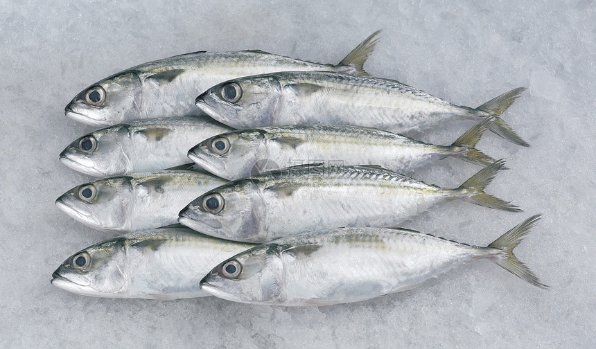 Mabong鱼熟鱼食物生活方式海鲜市场水平健康饮食图片