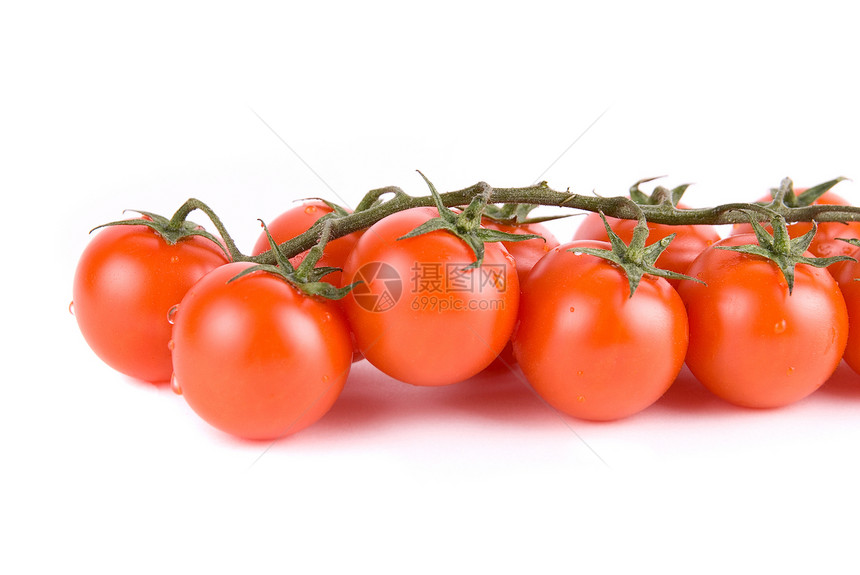 红番茄沙拉生物学绿色营养园艺蔬菜宏观叶子生产植物图片